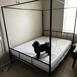 Queen Canopy Bed Frame 