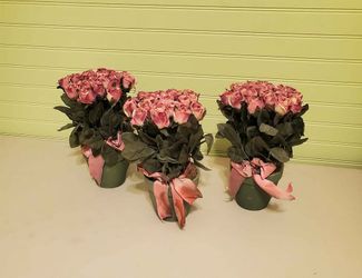 3 small fake roses