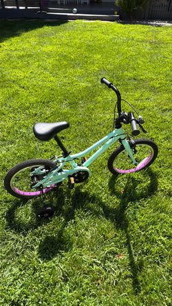 New Guardian kids bike