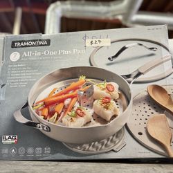 Tramontina All In One Plus Pan 