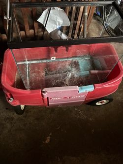 29 gallon fish tank
