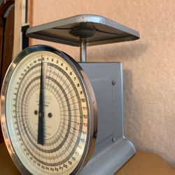 Vintage Scale