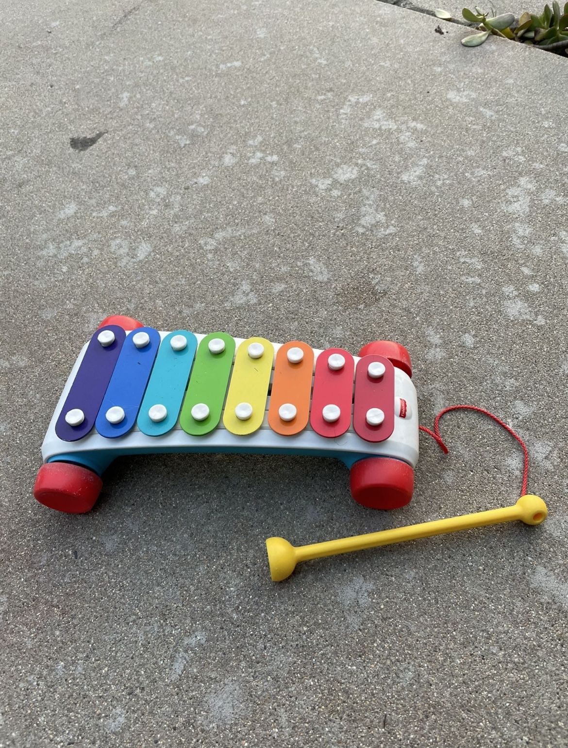 Xylophone For Kids