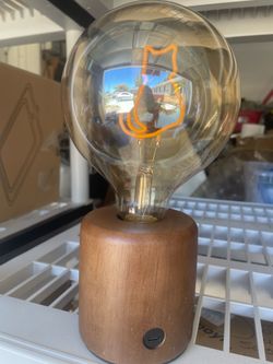 LED cat light new