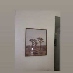 Joshua Tree Framed Photo 