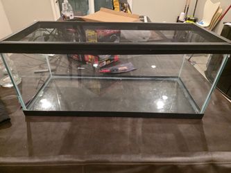 Terrarium