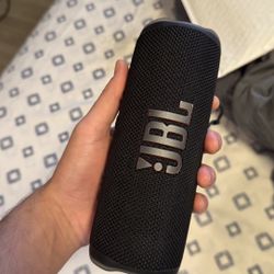 Jbl Flip 6 