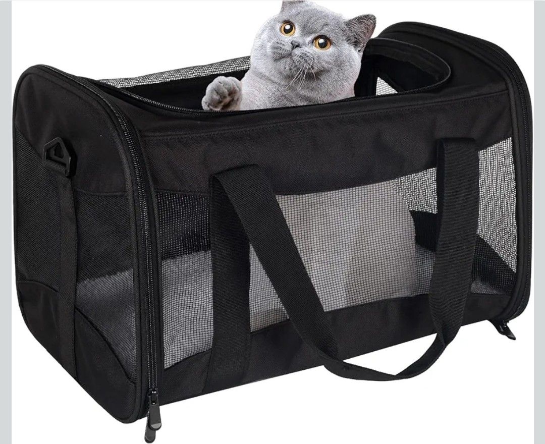 Cat Carrying Case
