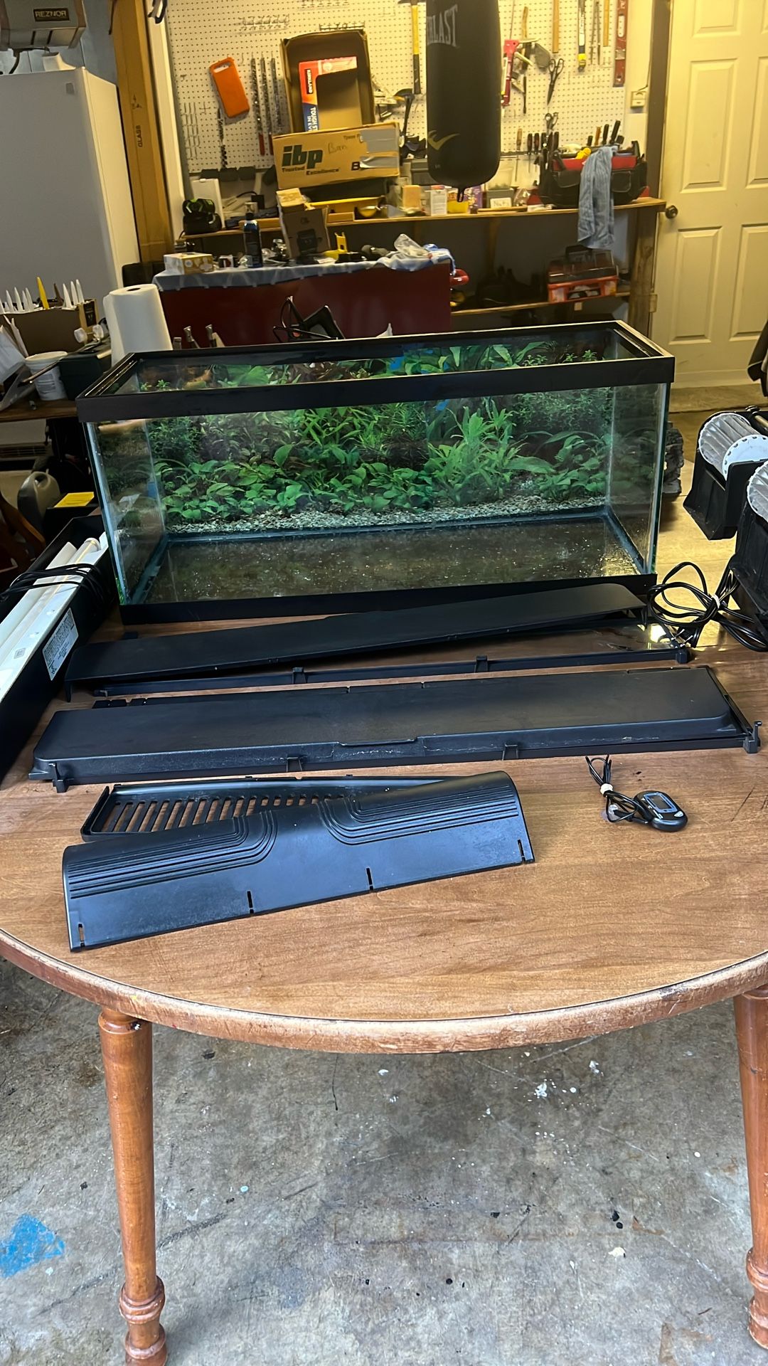 Fish Aquarium - 20 Gallon Glass Freshwater Fish