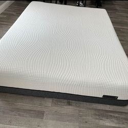 Firm Queen Size Mattress Queen Mattress Firm Mattress Sleep Science Bamboo Queen Bed Free Delivery