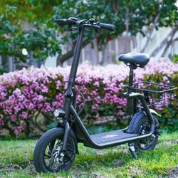 Phantom R1 Pro Scooter E-Scooter Electric Scooter 500W