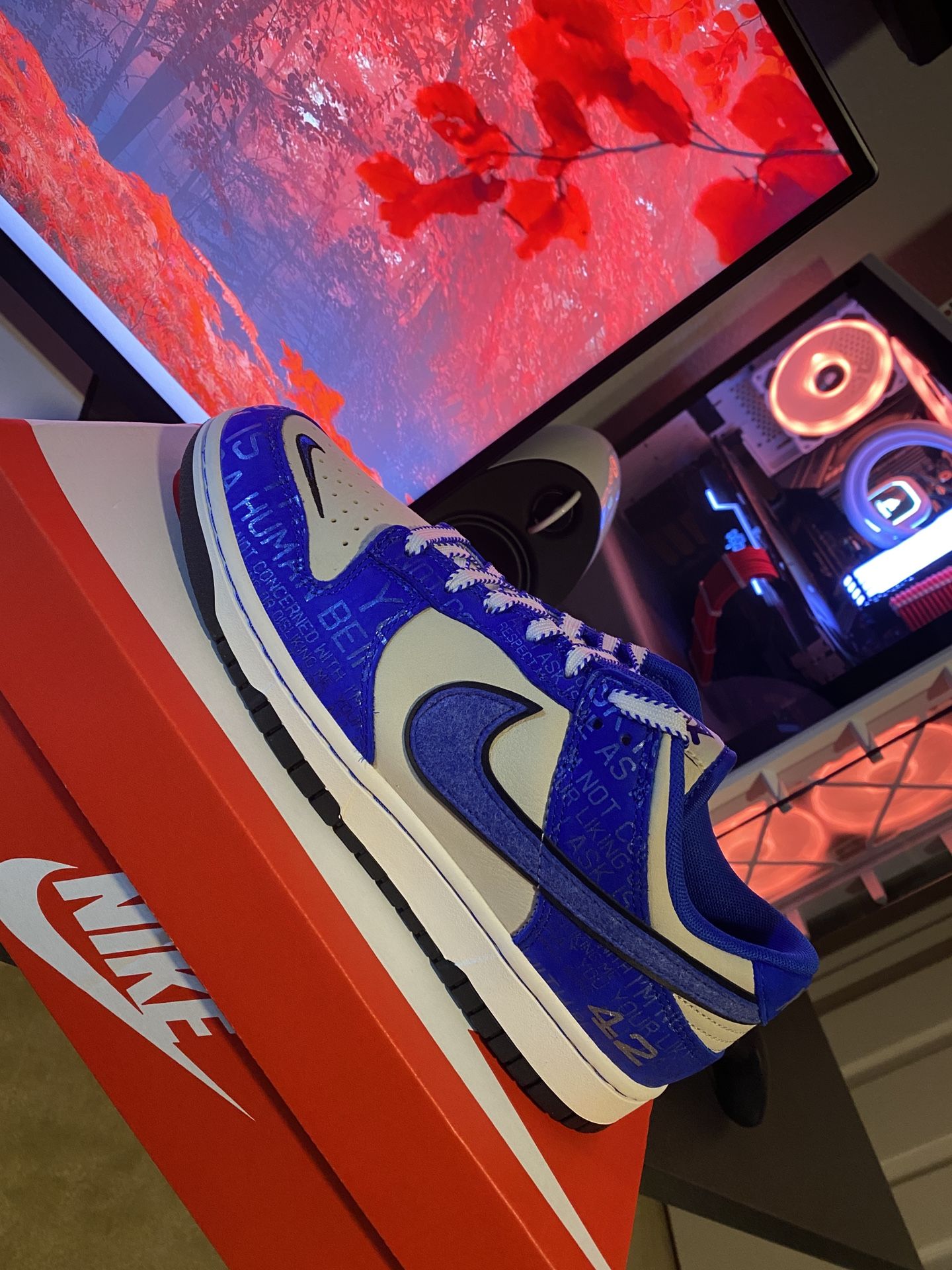 Nike Dunks Jackie Robinson