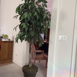 6ft Fake Tree