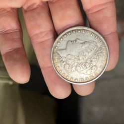 Morgan Dollars Many Available 
