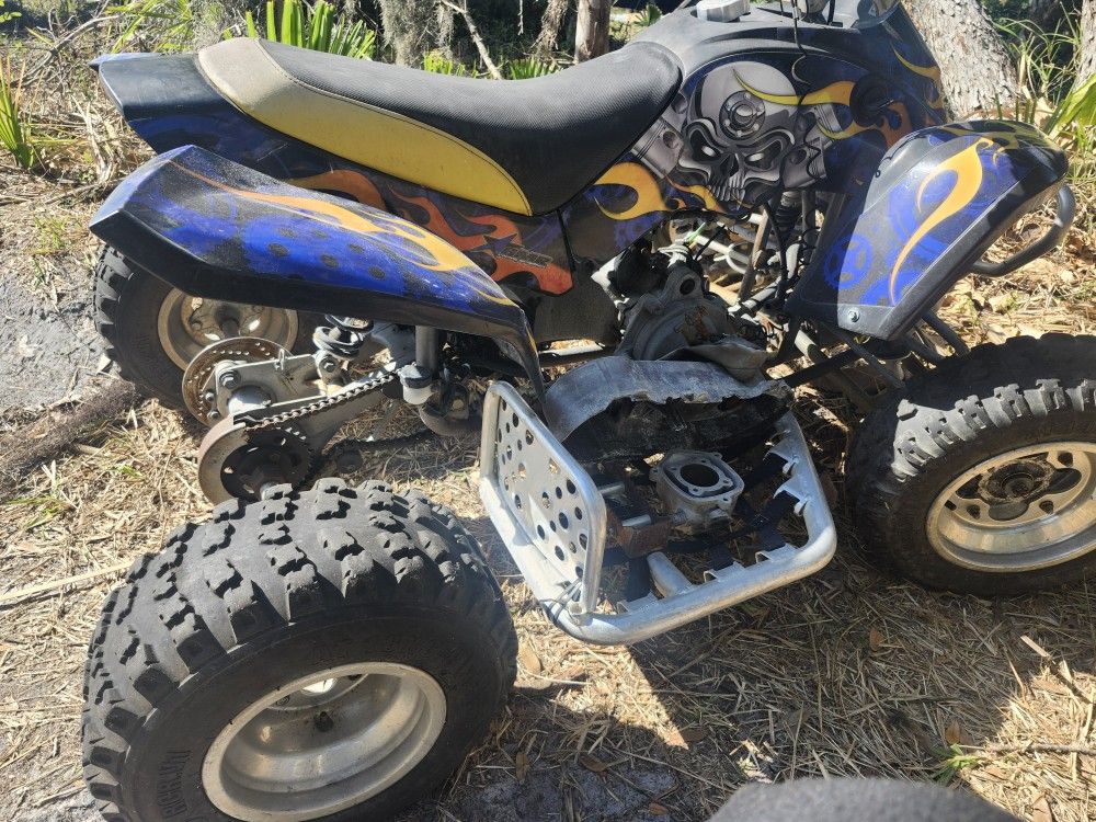 2010 Apex Racing 90cc