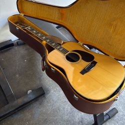 Acoustic Guitar 