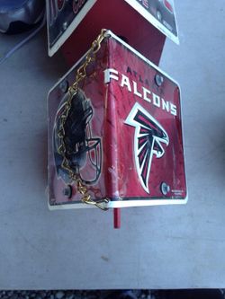 Falcons bird house