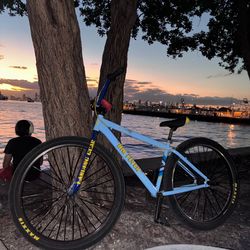 SE BIKE BIG FLYER 29