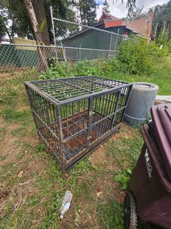 Kennel big dog