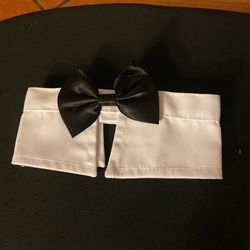 Dog Neck Lace 