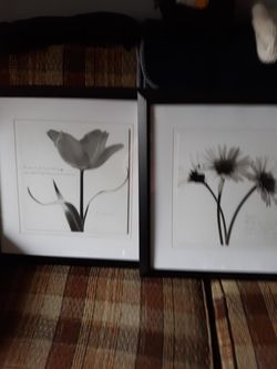 Pictures