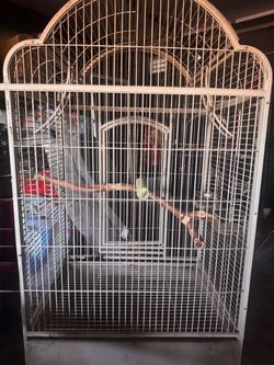 Bird Cage OBO