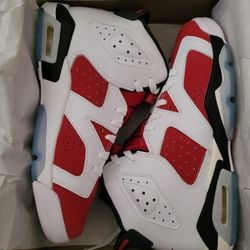 Jordan 6 Carmines Size 7