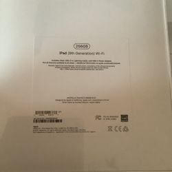 iPad 256gb 