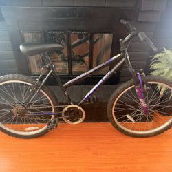 24” Magna Bike - One Speed 