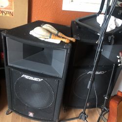 1000 Watt Speakers 