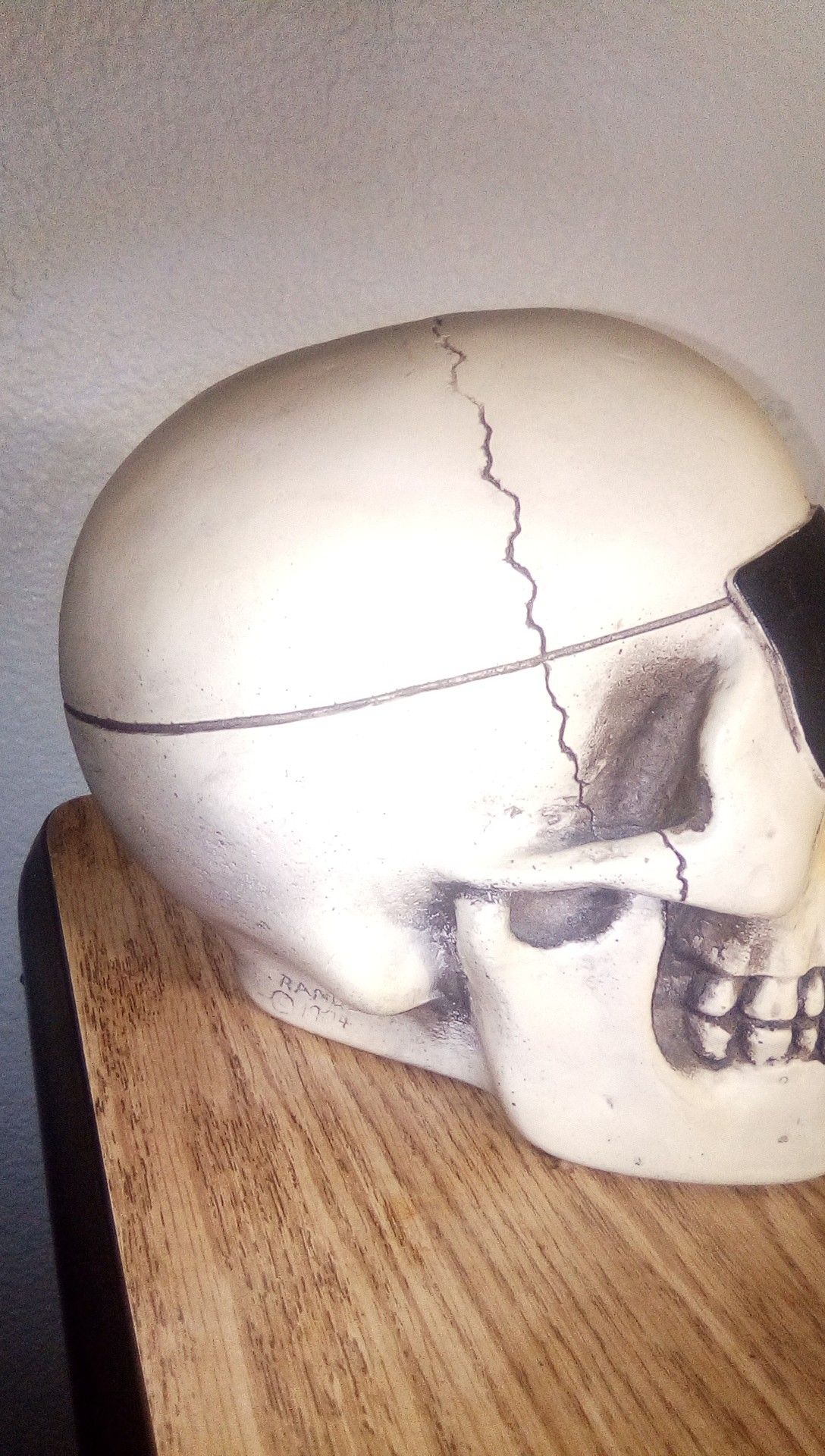 Skull