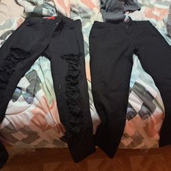 Ladies  Pants