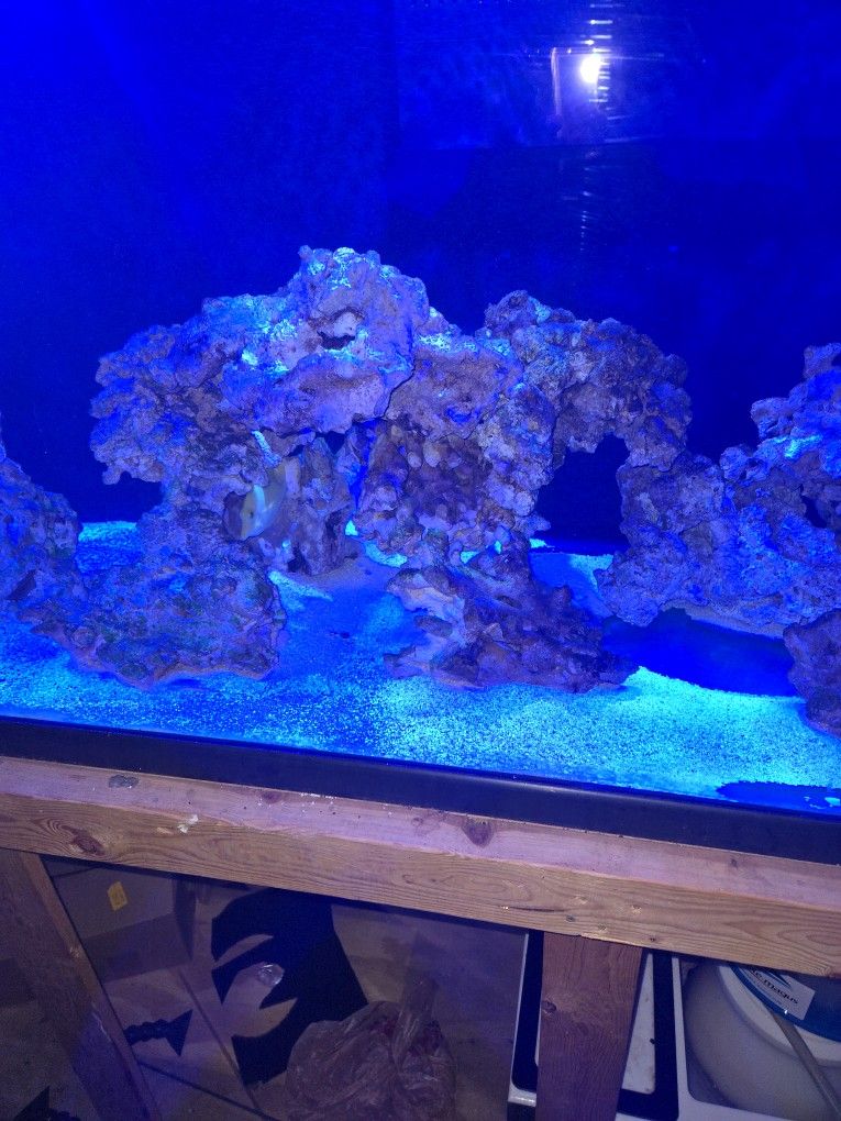 Aquarium
