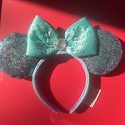 Disney Princess ears