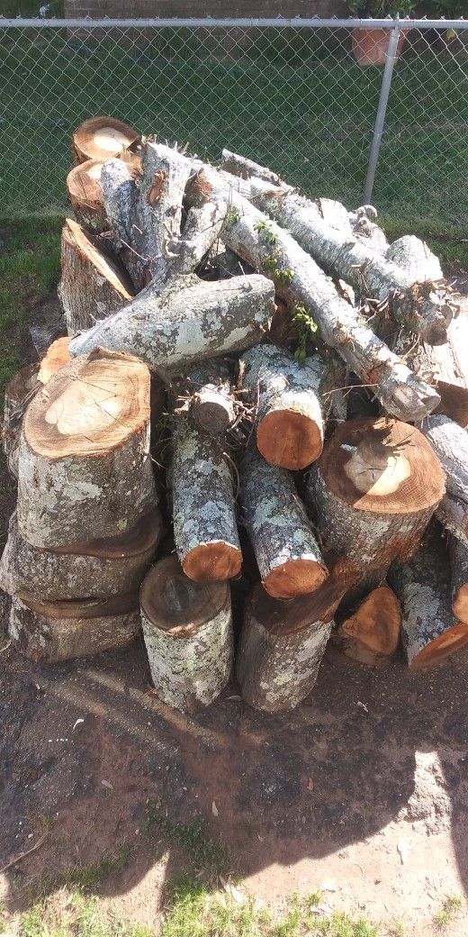 Oak Firewood