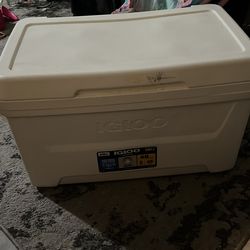 Ice chest