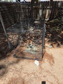 Large Dog Crate