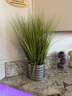 Faux Grass Plant in Silver Ribbed Pot