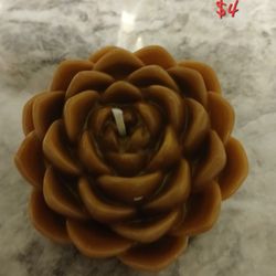 Succulent Candles Unscented 