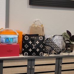 Ladies Hand Bags 