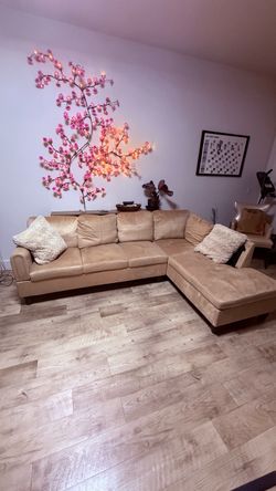 Microfiber Couch