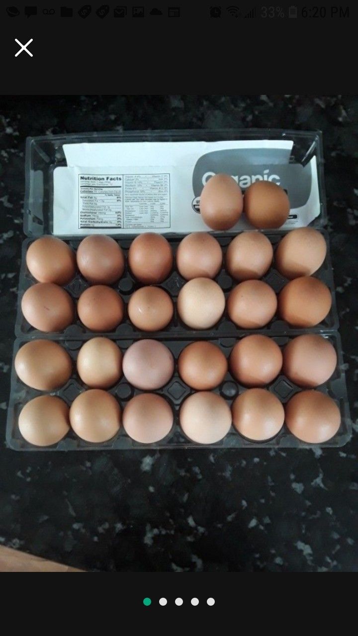 Fresh brown Organic Eggs.