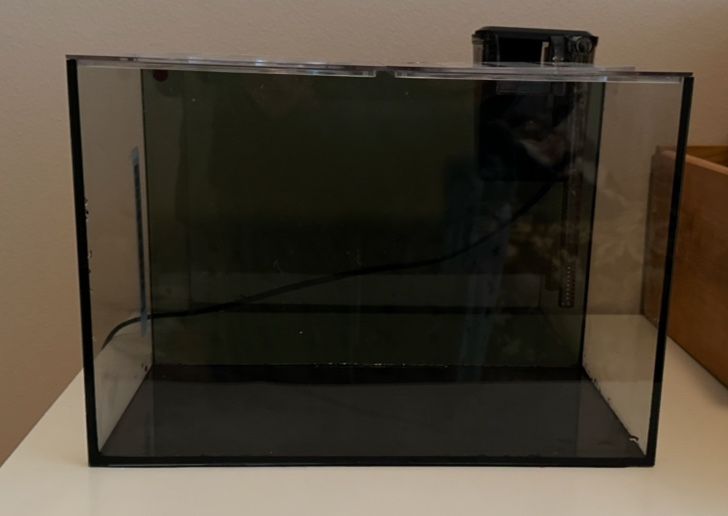 2g Rimless Fish Tank Aquarium