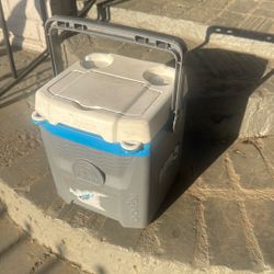 Igloo Cooler 12 Quart Quantum