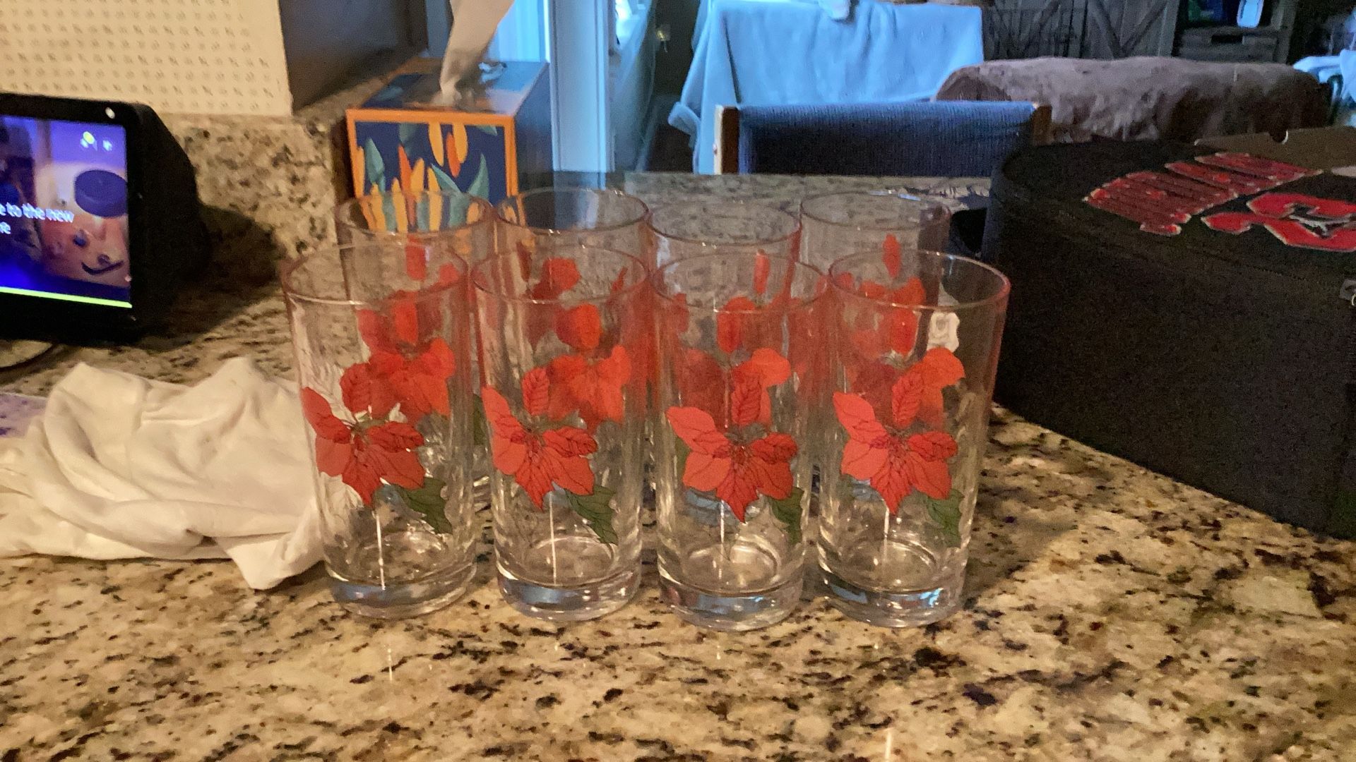 Mary Goertzen Water Color Poinsettia Drinking Glasses