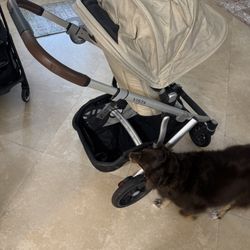 Uppababy Stroller