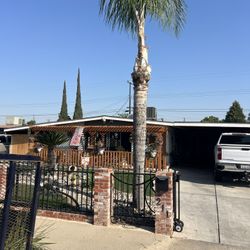 PALM TREES AND TREE 🌴 