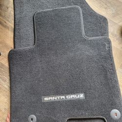 Brand New Santa Cruz Floor Mats