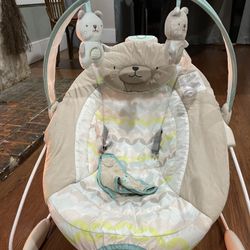 Baby Bouncer