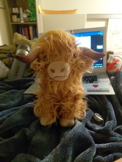 High Land cow plushie